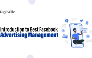 Facebook Advertising Management