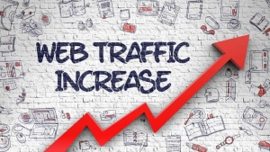 Website Traffic Checker