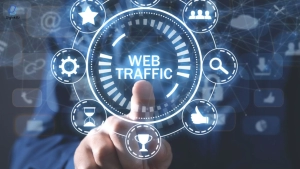 Website Traffic Checker