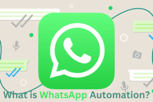  WhatsApp Automation