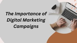 The Importance of Digital Marketing Campaigns 1